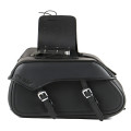 Sweep Lowrider bags