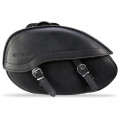 Sweep Postman bags