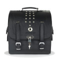 Sweep Back Billy sissybar bag